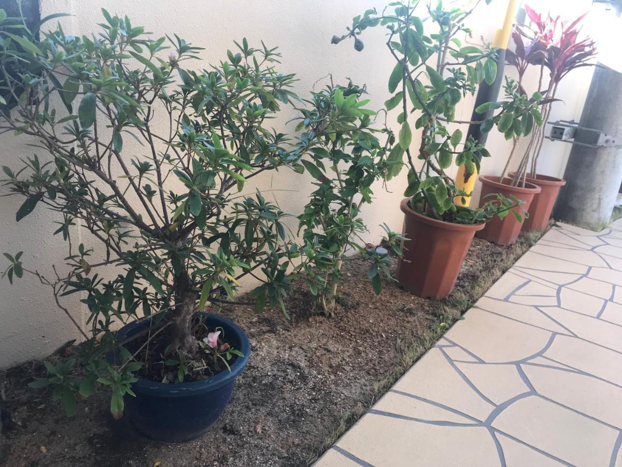 דירות Weekly Harbourview Mansion ג'ינו-וואן מראה חיצוני תמונה